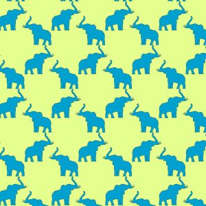 honey elephant3